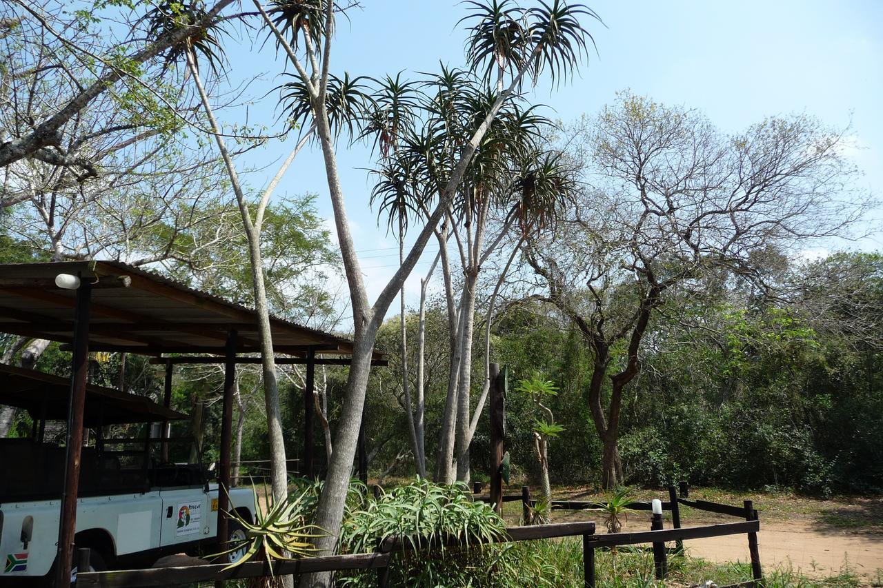 Isinkwe Bush Camp Vila Hluhluwe Exterior foto