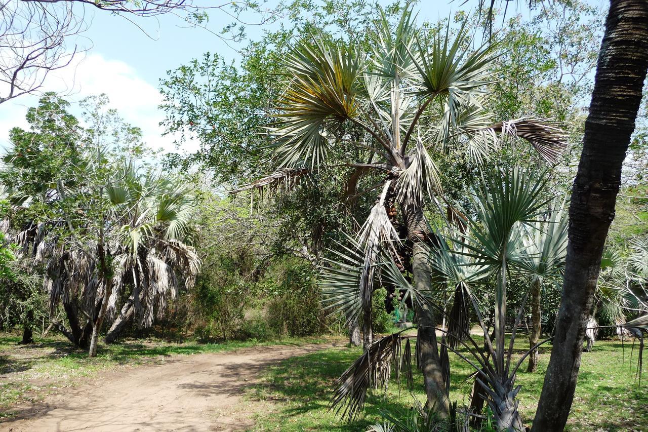 Isinkwe Bush Camp Vila Hluhluwe Exterior foto